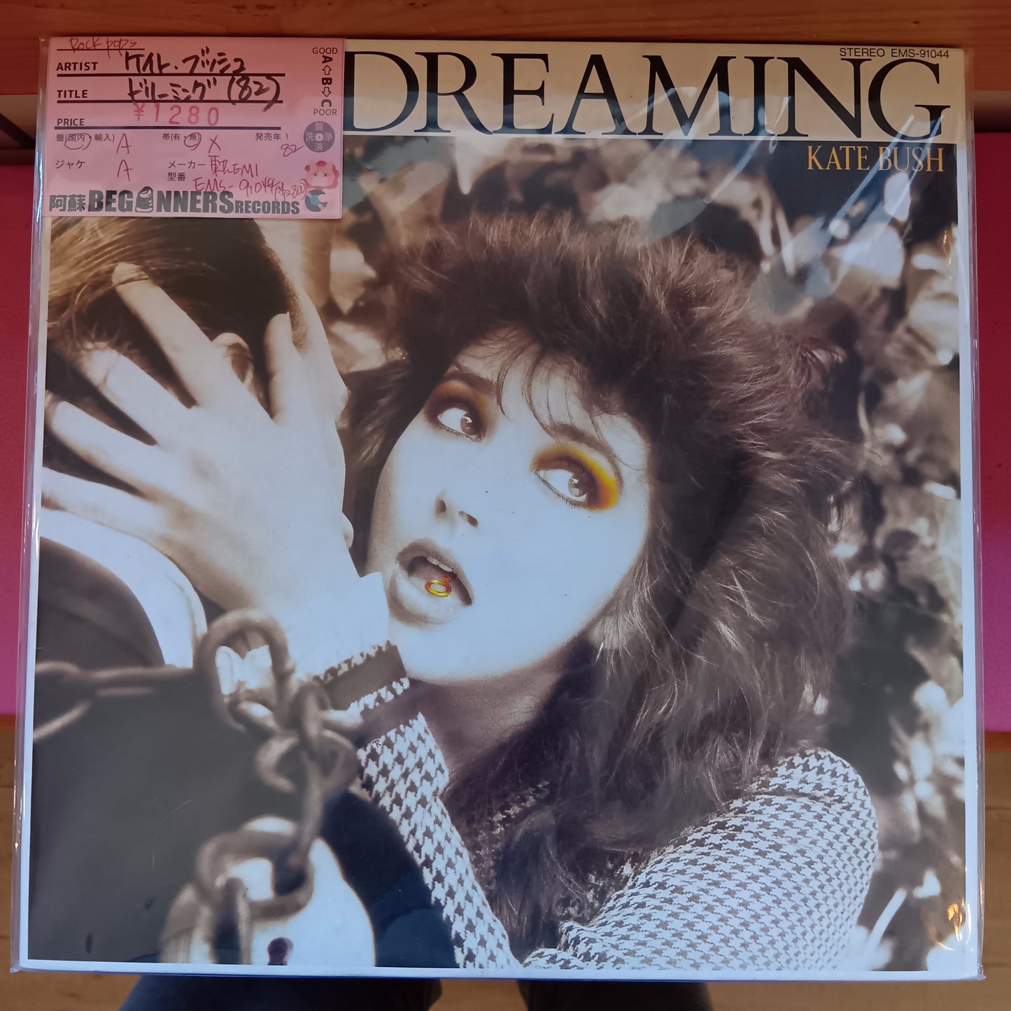 【LP】ケイト・ブッシュ/ドリーミング('82/国内盤)