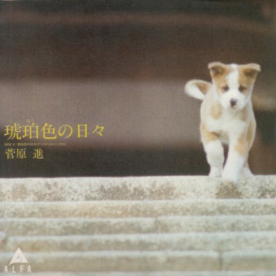 【EP】菅原進/琥珀色の日々('81/700円定価）