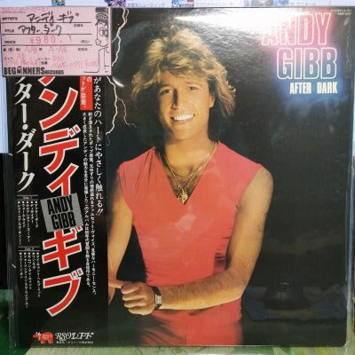 【LP】アンディ・ギブ/アフター・ダーク(国内盤帯付き）