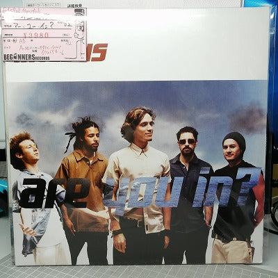 【12inch】インキュバス/アー・ユー・イン?('02/Import)