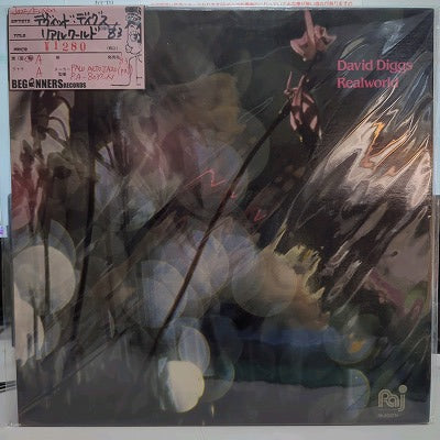 【LP】デヴィッド・ディグス/リアル・ワールド('83/Import)