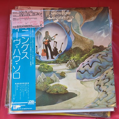 【LP】スティーヴ・ハウ/ビギニングス('75-'76/国内盤帯付)