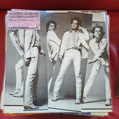 【LP】デヴィッド・ヨハンセン/イン・スタイル〜ニューヨーク・ストリート('79/国内盤)