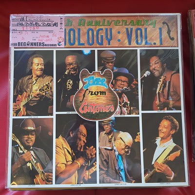 【LP-VA】10thアニヴァーサリー・アンソロジーVol,1/ジェイムス・コットン、サニーランド・スリム他(Import)