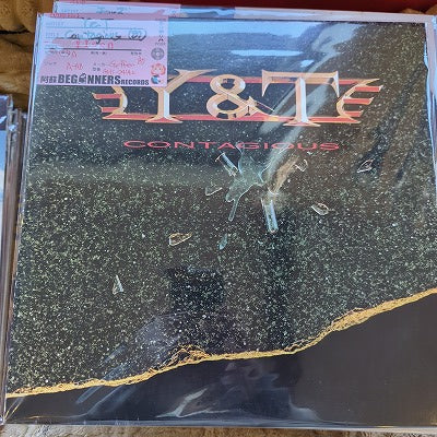 【LP】Y&T/Contagious('87/Import)