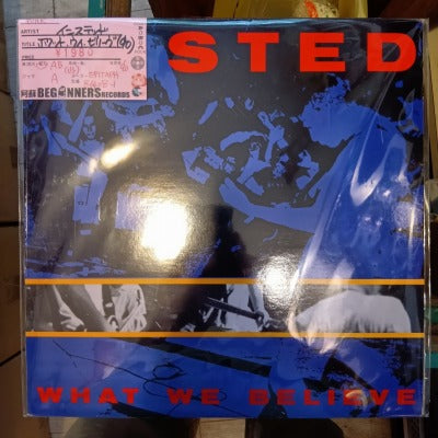 【LP】インステッド/ホワット・ウィ・ビリーヴ('90/US盤)