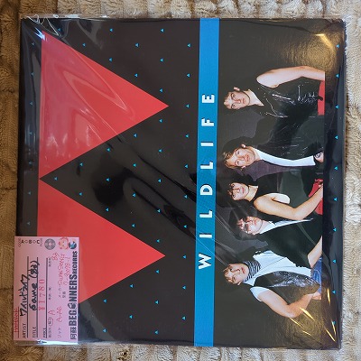 ¡ÚLP¡Û¥ï¥¤¥ë¥É¥é¥¤¥Õ/Same('83/Import) ¡ÚLP¡Û¥ï¥¤¥ë¥É¥é¥¤¥Õ/Same('83/Import)