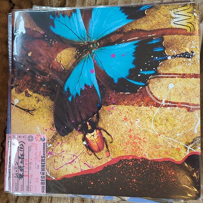 ¡Ú12inch¡Û¥à¡¼¥ß¥ó/¶ØÃǤο¹('02) ¡Ú12inch¡Û¥à¡¼¥ß¥ó/¶ØÃǤο¹('02)