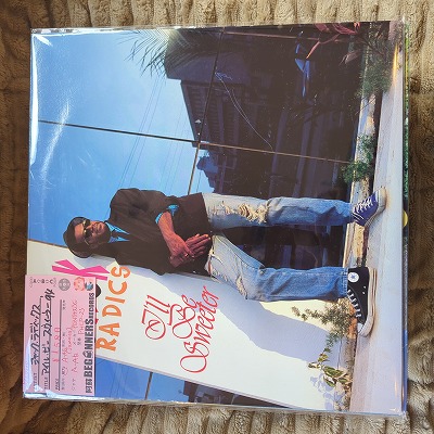 ¡ÚLP¡Û¥¸¥ã¥Ã¥¯¡¦¥é¥Ç¥£¥Ã¥¯¥¹/¥¢¥¤¥ë¡¦¥Ó¡¼¡¦¥¹¥¦¥£¡¼¥¿¡¼('94/Import) ¡ÚLP¡Û¥¸¥ã¥Ã¥¯¡¦¥é¥Ç¥£¥Ã¥¯¥¹/¥¢¥¤¥ë¡¦¥Ó¡¼¡¦¥¹¥¦¥£¡¼¥¿¡¼('94/Import)