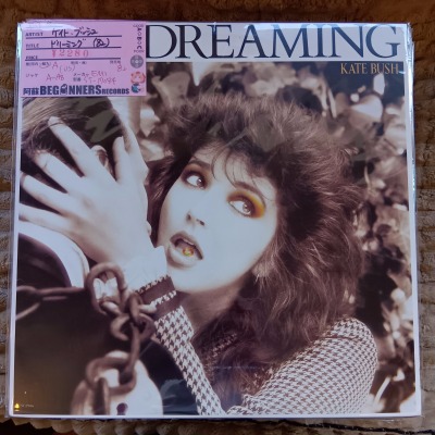 ¡ÚLP¡Û¥±¥¤¥È¡¦¥Ö¥Ã¥·¥å/¥É¥ê¡¼¥ß¥ó¥°('82/USÈ×) ¡ÚLP¡Û¥±¥¤¥È¡¦¥Ö¥Ã¥·¥å/¥É¥ê¡¼¥ß¥ó¥°('82/USÈ×)